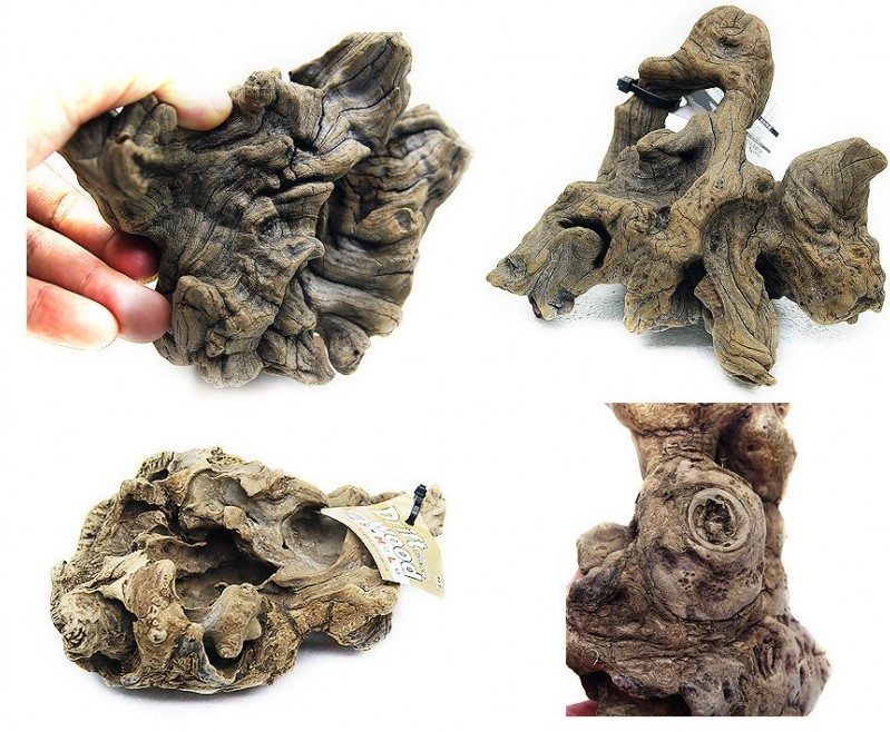 세틀오푸와유목(100pcs)