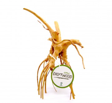 세틀 슬림 잔가지유목