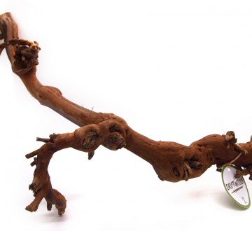 세틀 포도유목 (브라운)