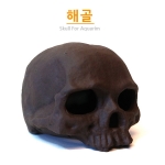 하려 해골 장식