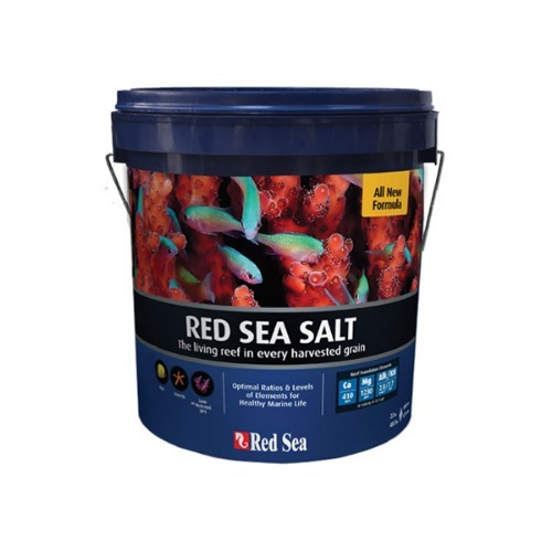 레드씨 해수염 22KG