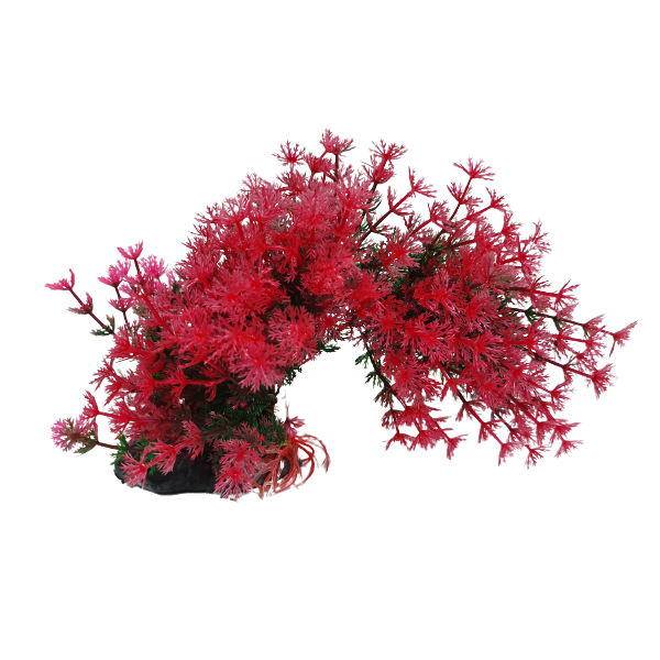 휘어지는 조화 (레드암부리아)