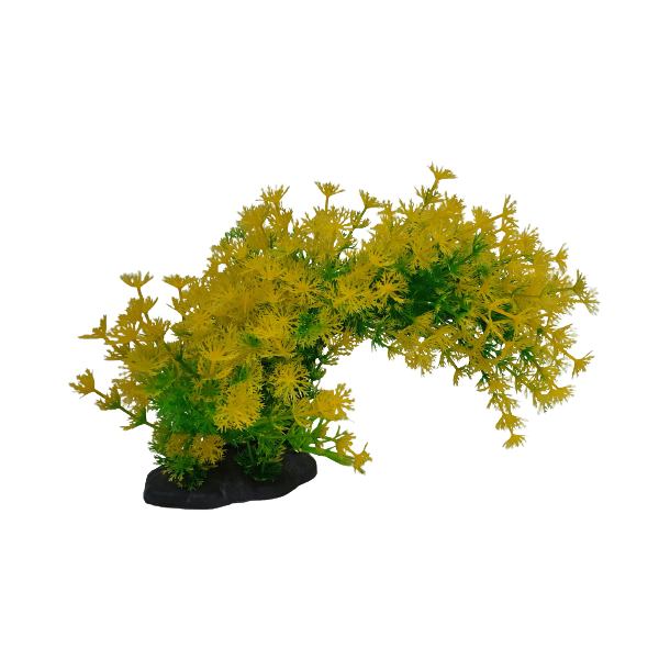 휘어지는 조화 (옐로우 암부리아)