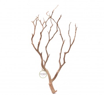 세틀 만자니타 샌딩 유목 s (박스당 18p)