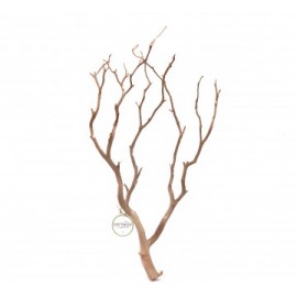 세틀 만자니타 샌딩 유목 L (박스당 12p)