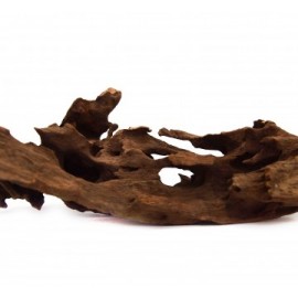 세틀 홀리 유목 10kg