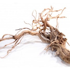 세틀 탱글드 유목