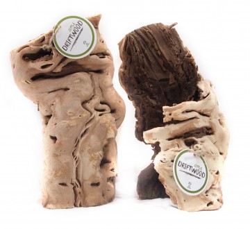 세틀 포도 베이스 하프 유목