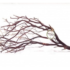 세틀 만자니타 내츄럴 유목 L (박스당 12P_