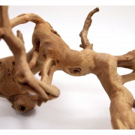 세틀 포도 유목 m