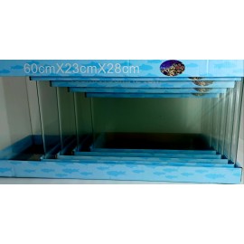 에이스 수조 전면 곡 (5p)