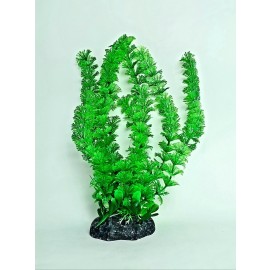 조화 청록 high 30cm