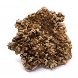 세틀 데드락 20kg (마대포장)