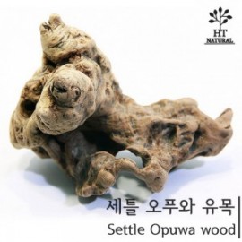 세틀 오푸와 유목 100P (10-20cm)