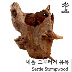 세틀 그루터키 유목 S (50P)