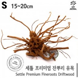 세틀 잔뿌리 유목 S (50P)