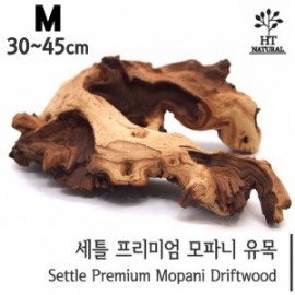 세틀 모파니 투톤유목 M (10P)