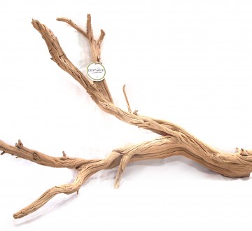 세틀 고스트 우드 25-30cm