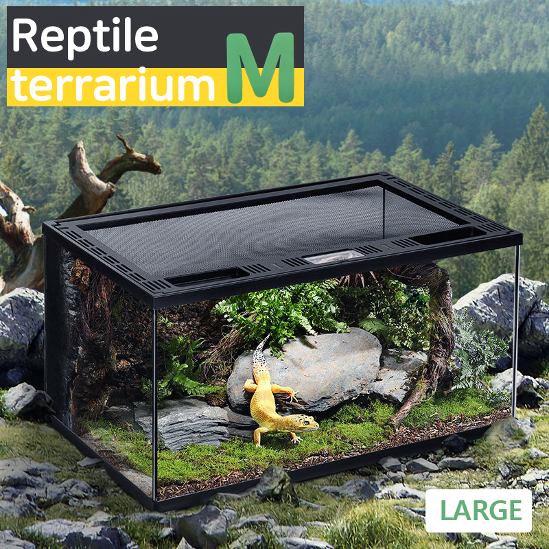 망고 파충류장 CPC-004 30*30*40cm H